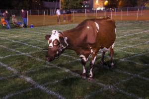 (Photo by Mrs. Kovacs)