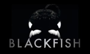 (Photo courtesy fhff.org)