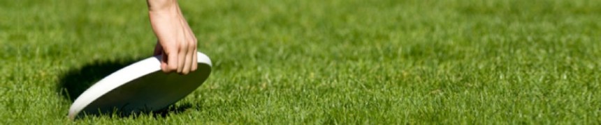 (Photo courtesy lvfrisbee.com)